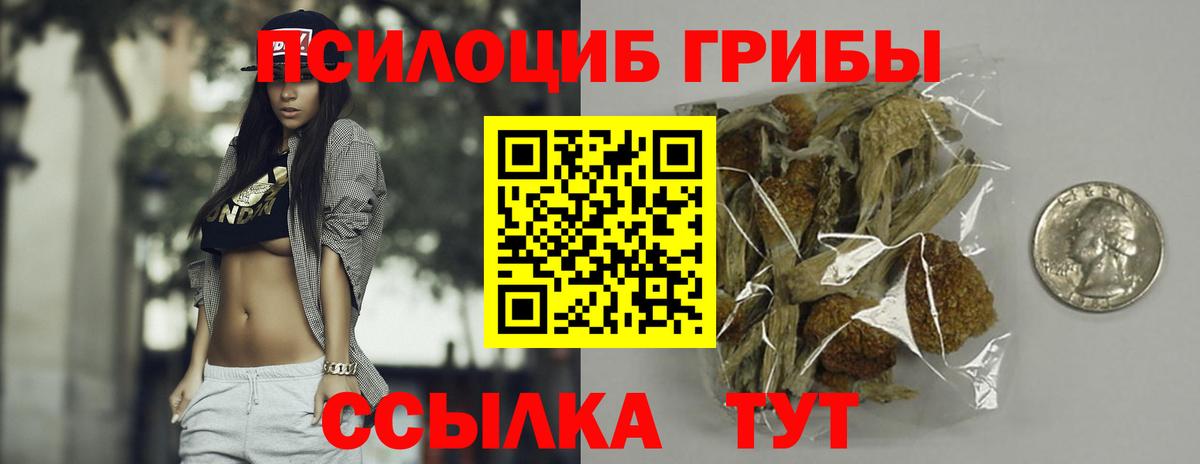 Галлюциногенные грибы мухоморы  Вход с VPN  Кандалакша  Галлюциногенные грибы Cubensis 